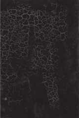 9780300140897-0300140894-Black Square: Malevich and the Origin of Suprematism