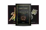 9781777094393-1777094399-The Little Book of Light Codes Oracle Cards 2nd Edition