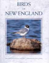 9781885435989-1885435983-Birds of New England