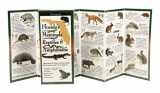 9781935380634-193538063X-Florida's Mammals, Reptiles, and Amphibians: Folding Guide (Foldingguides)