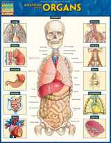 9781423234630-1423234634-Anatomy of the Organs (Quick Study Academic)
