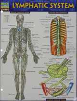 9781423233183-1423233182-Lymphatic System (Quick Study Academic)