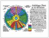 9781589243095-1589243099-IRIDOLOGY CHART of EYE Reflexology (Rainbow Coded) in the Inner Light Resources Rainbow® Cards & Charts Series. 8.5 x 11 in. (Small Poster/ Large Card)