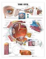 9781587791260-1587791269-The Eye Anatomical Chart