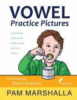 9780979174940-0979174945-Vowel Practice Pictures: Vowel Practice by Syllable Shape and Phonological Pattern