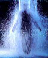 9780874271140-0874271142-Bill Viola: Installations and Videotapes (Paperback)