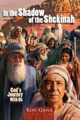 9780828024211-0828024219-In the Shadow of the Shekinah: God's Journey with Us