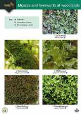 9781908819178-1908819170-Guide to Mosses and Liverworts of Woodlands