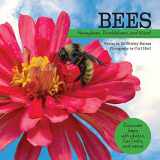 9781486727032-1486727034-Bees: Honeybees, Bumblebees, and More! (My Wonderful World)