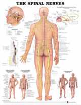 9781587792069-1587792060-The Spinal Nerves Anatomical Chart