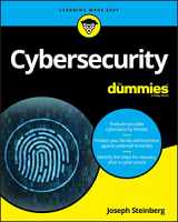 9781119560326-1119560322-Cybersecurity For Dummies (For Dummies (Computer/Tech))