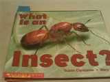 9780590397902-0590397907-What Is An Insect? (Emergent Readers)