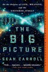 9781101984253-1101984252-The Big Picture: On the Origins of Life, Meaning, and the Universe Itself