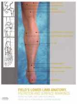 9780702030185-070203018X-Lower Limb Anatomy, Palpation & Surface Markings