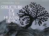 9780195043570-019504357X-Structure of the Human Brain: A Photographic Atlas