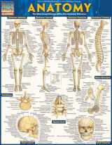 9781423222781-1423222784-Anatomy - Reference Guide (8.5 x 11): a QuickStudy reference tool (Quickstudy Academic)