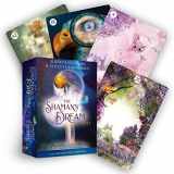 9781401959128-1401959121-The Shaman's Dream Oracle: A 64-Card Deck and Guidebook