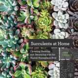 9781682683842-1682683842-Succulents at Home: Choosing, Growing, and Decorating with the Easiest Houseplants Ever
