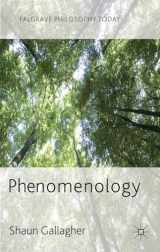 9780230272484-0230272487-Phenomenology (Palgrave Philosophy Today)