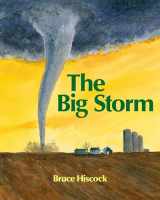 9781590786000-1590786009-The Big Storm