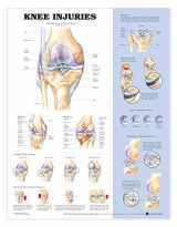 9781587797576-1587797577-Knee Injuries Anatomical Chart