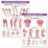 9780781773065-0781773067-ACC Trigger Point Chart Set: Torso & Extremities Paper