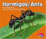 9780736866828-0736866825-Hormigas / Ants (Pebble Plus Bilingual: Criaturas Diminutas/ Bugs, Bugs, Bugs) (Spanish and English Edition)