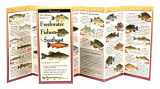 9781893770775-189377077X-Freshwater Fishes of the Southeast: Folding Guide (Foldingguides)