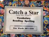 9780945856320-0945856326-Catch a Star Workbook (Star Words 201-250) (Seeing Stars Workbook)