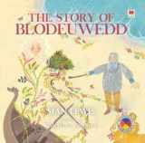 9781849674379-184967437X-Four Branches of the Mabinogi: Story of Blodeuwedd, The