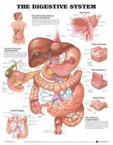 9781587790065-1587790068-ACC The Digestive System Anatomical Chart