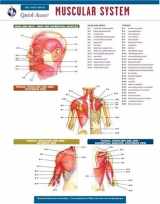 9780738607405-0738607401-Muscular System - REA's Quick Access Reference Chart (Quick Access Reference Charts)