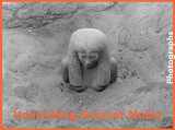 9780878468546-0878468544-Unearthing Ancient Nubia: Photographs from the Harvard University–Boston Museum of Fine Arts Expedition