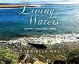 9781087999135-1087999138-Living Waters: The Poetry & Art of a Grateful Optimist