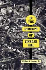 9780595425501-059542550X-IN THE STREETS OF VINEGAR HILL