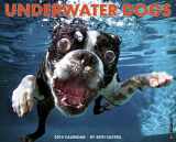 9781607559504-1607559501-Underwater Dogs 2014 Wall Calendar