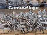 9781454920793-1454920793-Camouflage (Science for Toddlers)