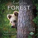 9781631369940-1631369946-The Soul of the Forest 2024 Wall Calendar: Traveling the Globe, Connecting the World | 12" x 24" Open | Amber Lotus Publishing