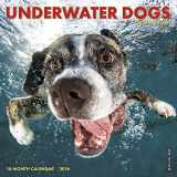 9781623439132-1623439132-2016 Underwater Dogs Mini Wall Calendar