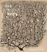 9781419722271-1419722271-The Beautiful Brain: The Drawings of Santiago Ramon y Cajal