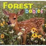 9781559718745-1559718749-Forest Babies (Animal Babies)