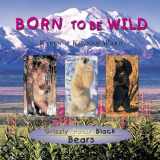 9781930700192-1930700199-Bears, Born to be Wild