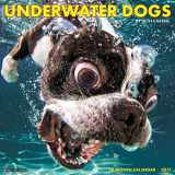 9781682342138-1682342131-Underwater Dogs 2017 Wall Calendar