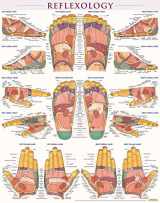 9781423223078-1423223071-Reflexology Poster (22 x 28 inches) - Laminated: a QuickStudy Anatomy Reference