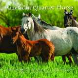 9781933192598-1933192593-2020 American Quarter Horse Calendar