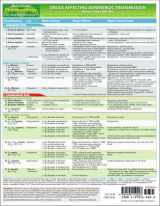 9781595410023-1595410023-MemoCharts Pharmacology: Drugs Affecting Adrenergic Transmission (Review chart)