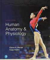 Sell back Human Anatomy & Physiology 9780134580999 / 0134580990