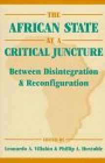 9781555876289-1555876285-The African State at a Critical Juncture: Between Disintegration and Reconfiguration