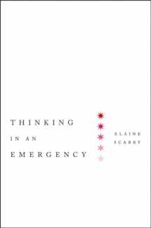 9780393078985-0393078981-Thinking in an Emergency (Norton Global Ethics Series)
