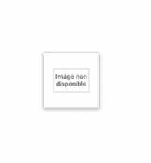9783791308036-3791308033-Niki De Saint Phalle: Bilder - Figuren - Phantastische Garten (German Edition)